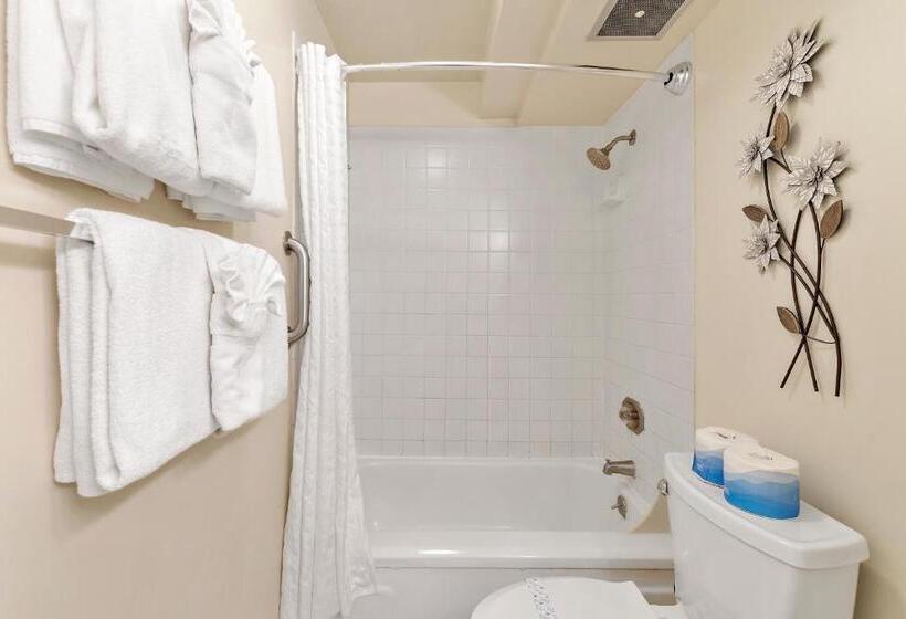 Pacific Monarch   1 Br   Ocean And City Views!