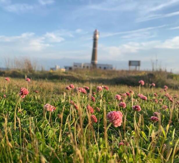 Palacio De La Luna, Casa única Frente Al Mar