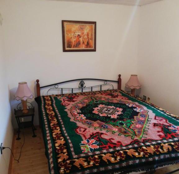 بنسيون къща за гости чичарите