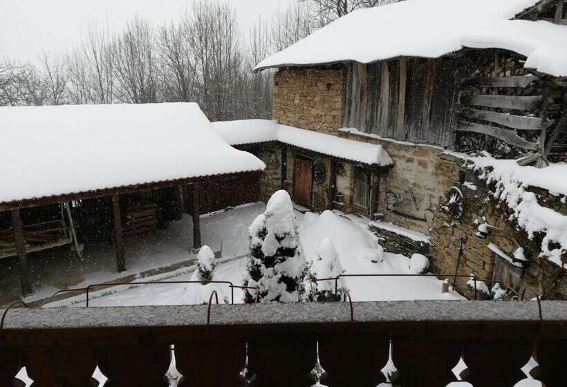 بنسيون къща за гости чичарите