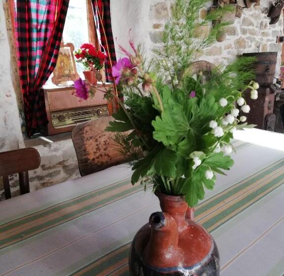 بنسيون къща за гости чичарите