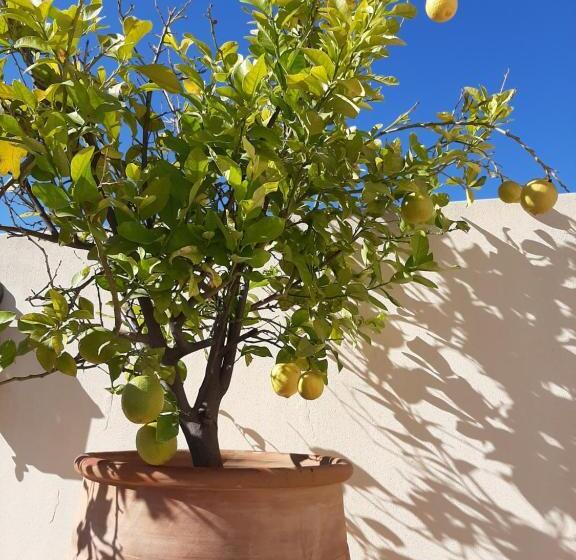 پانسیون Dar Abdesalam