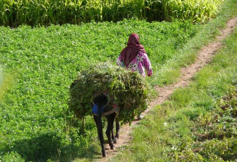 پانسیون Dar Ait Bouguemez
