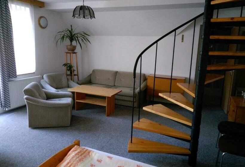 פנסיון Penzion Kneifel, S.r.o