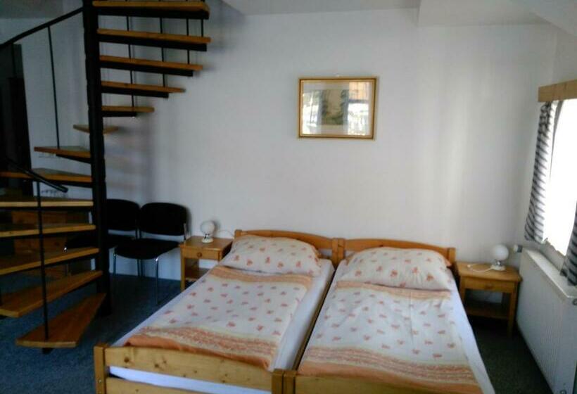 פנסיון Penzion Kneifel, S.r.o