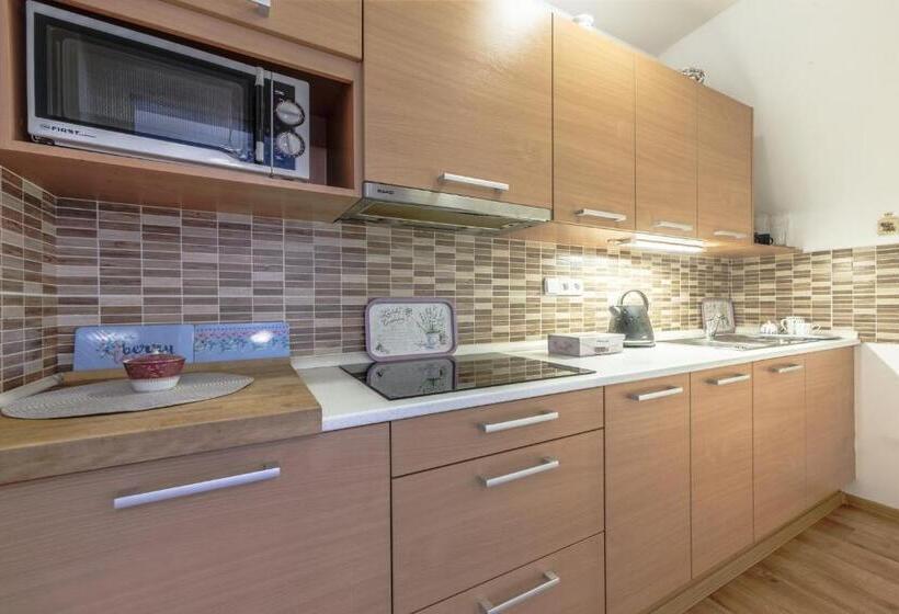 بنسيون Penzion Na Hradčanech