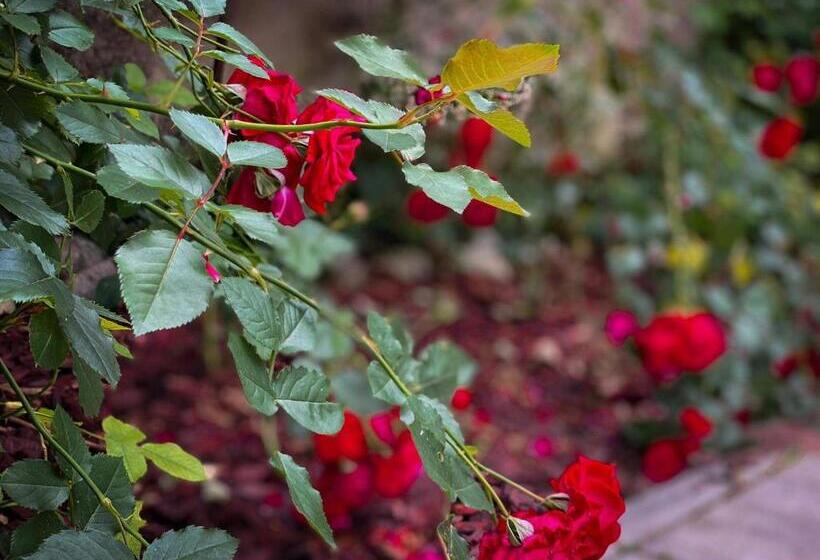 پانسیون Privat Forest