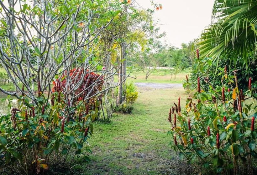 پانسیون Rommai Villa Chiang Rai