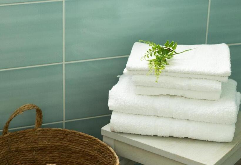 膳宿费 Studio Mare