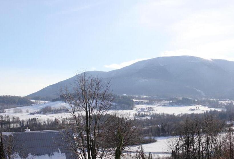 پانسیون Vila Apalucha49 čeladná   12 Osob