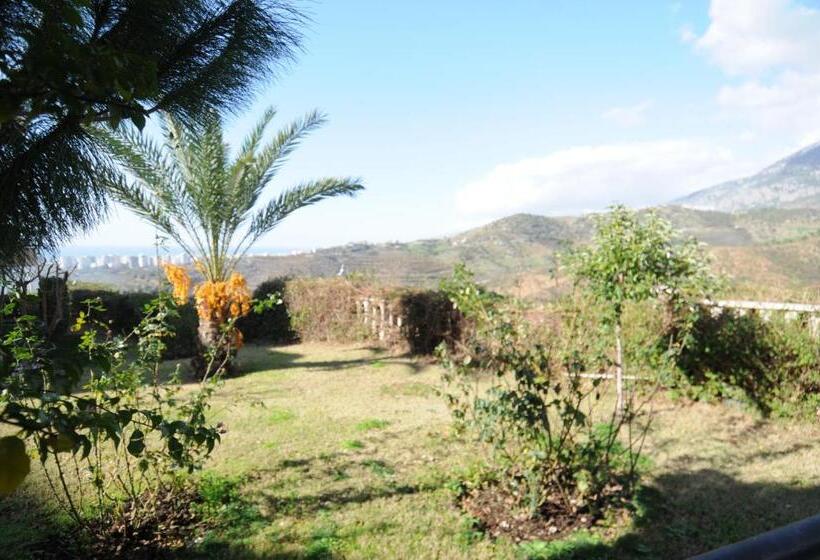 Курорт Gold City Luxury Accommodation