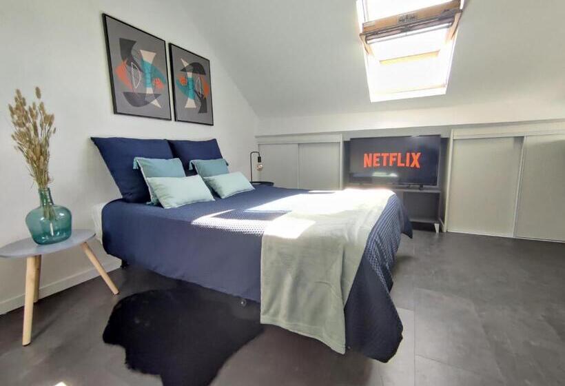 Studio Hypercentre   Quartier Gare