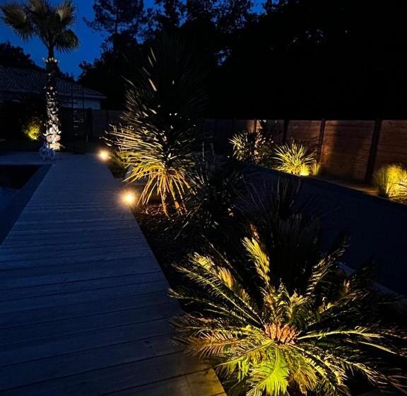 Villa Aux Palmiers,piscine 28°,pétanque,coeur Bassin