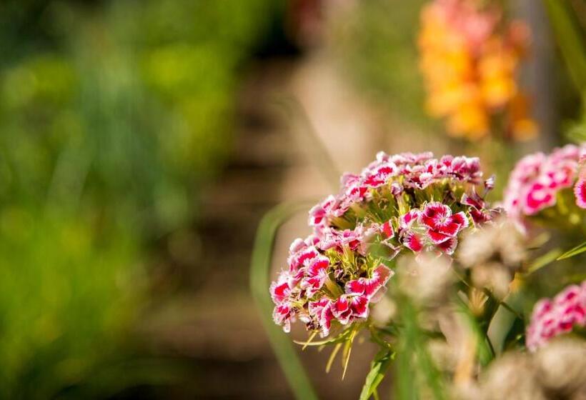 Общежитие Pension Wiesenrain