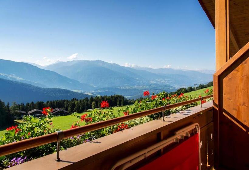 호스텔 Pension Wiesenrain