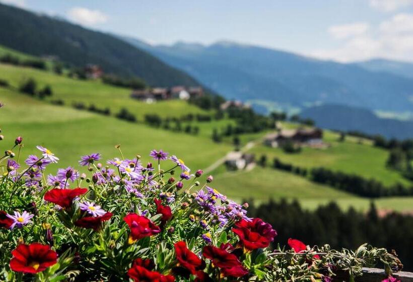 Общежитие Pension Wiesenrain