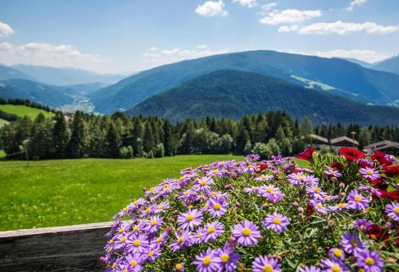 호스텔 Pension Wiesenrain