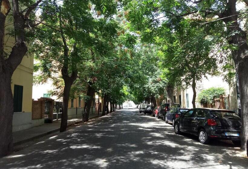 B&b Green Stazione Centrale