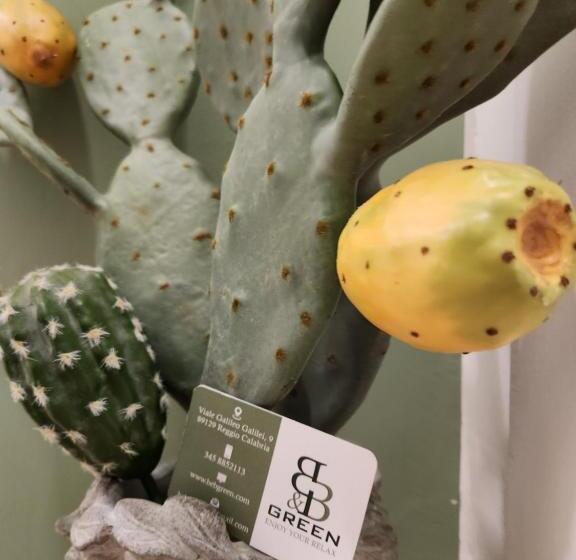 B&b Green Stazione Centrale