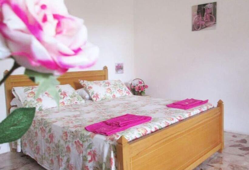 مبيت وإفطار Affittacamere Delle Rose