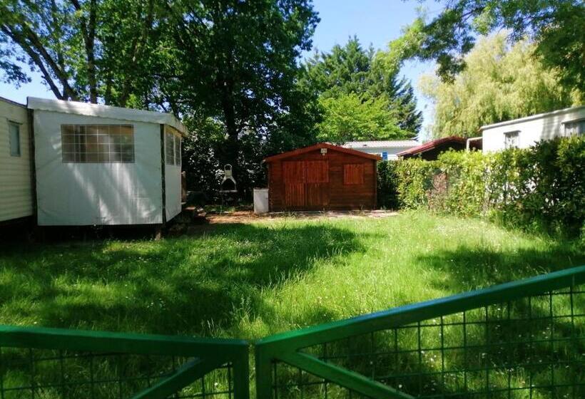 Bungalow Charmant A Saint Pierre D Oleron Avec Jardin Cloture