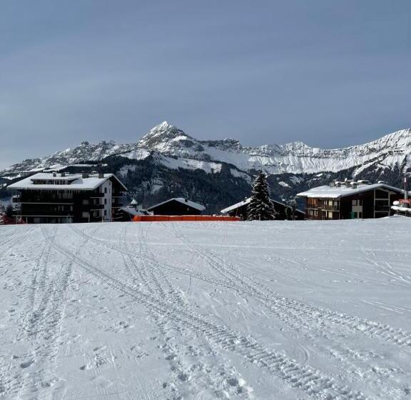 Chalet Familial Au Pied Des Pistes Et Commerces