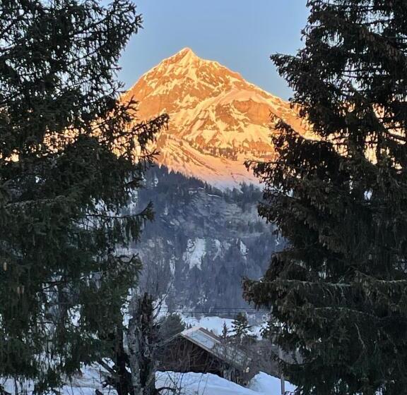 Chalet Familial Au Pied Des Pistes Et Commerces