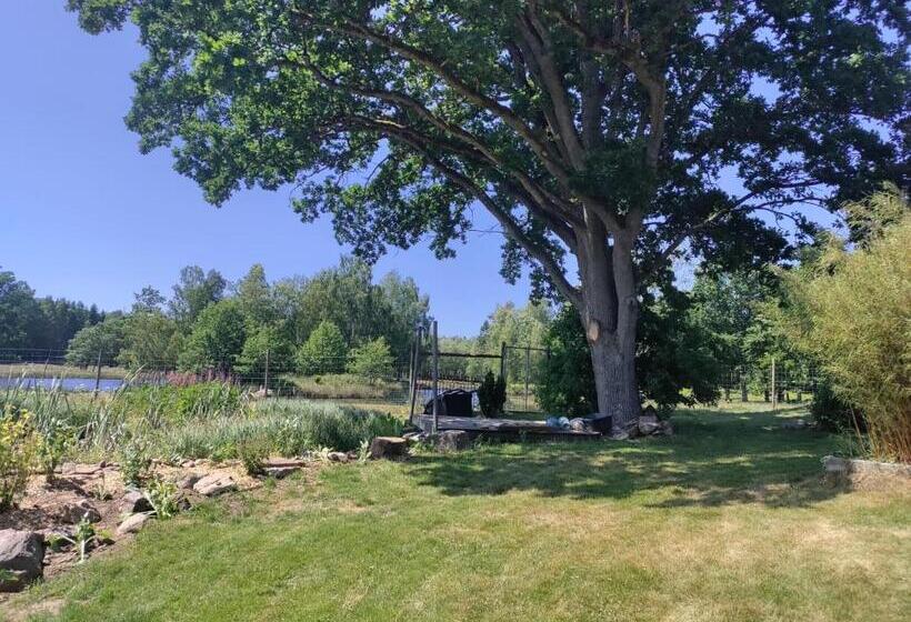 Damwildfarm In Rollerbü Südschweden