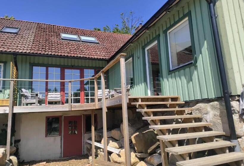 Damwildfarm In Rollerbü Südschweden