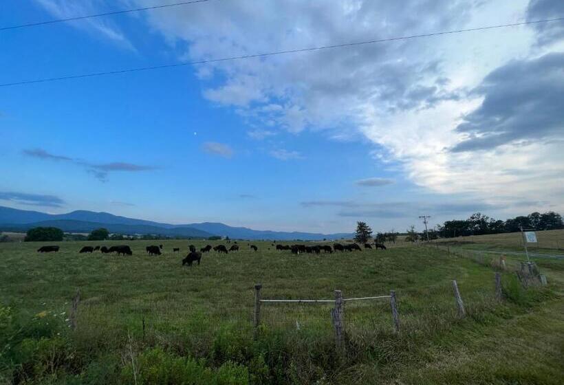 Dreamy Couples Cabin In The Shenandoah Forrest