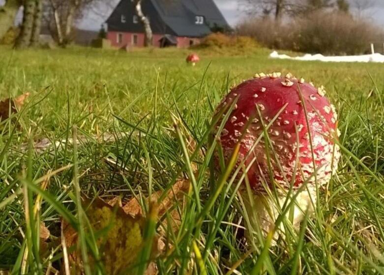 Ferienwohnung Zum Ausblick