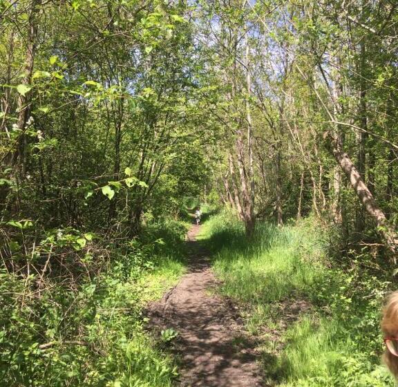 Fraai Tiny House Aan Het Veluwemeer Met Uitzicht & Veranda