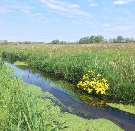 Fraai Tiny House Aan Het Veluwemeer Met Uitzicht & Veranda