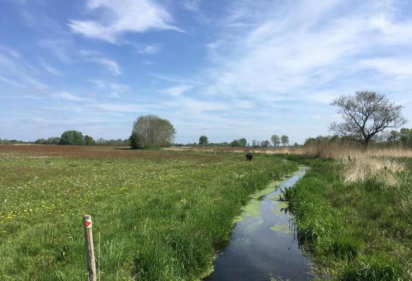 Fraai Tiny House Aan Het Veluwemeer Met Uitzicht & Veranda