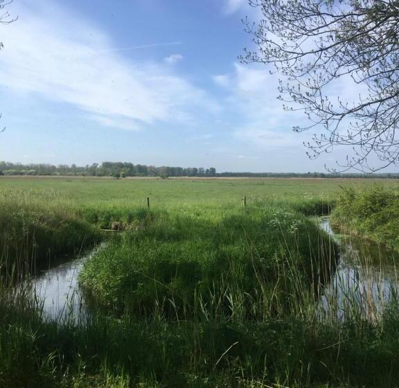 Fraai Tiny House Aan Het Veluwemeer Met Uitzicht & Veranda