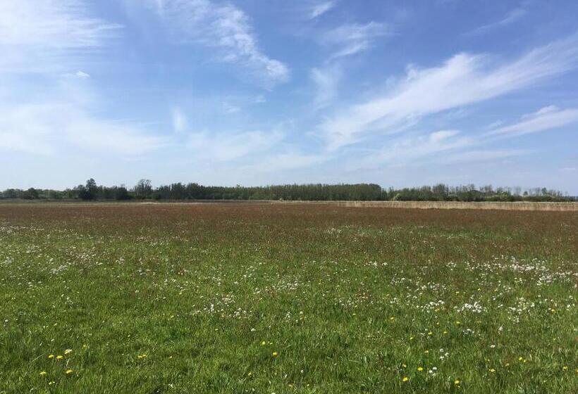 Fraai Tiny House Aan Het Veluwemeer Met Uitzicht & Veranda