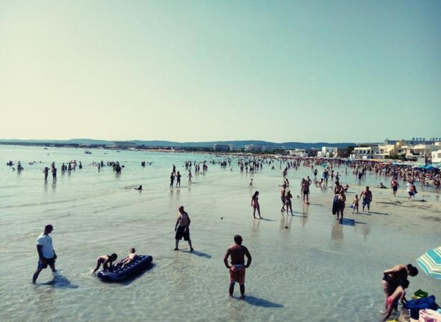 Francesco B&b   Torre Canne