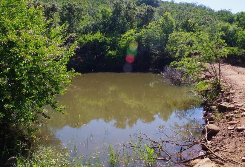 호텔 Bosveldsig Cottages