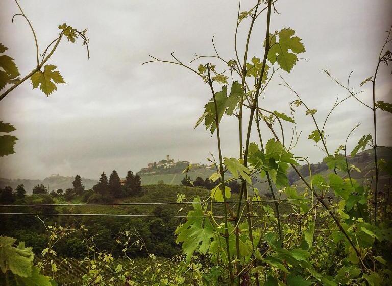 فندق Cascina Maina