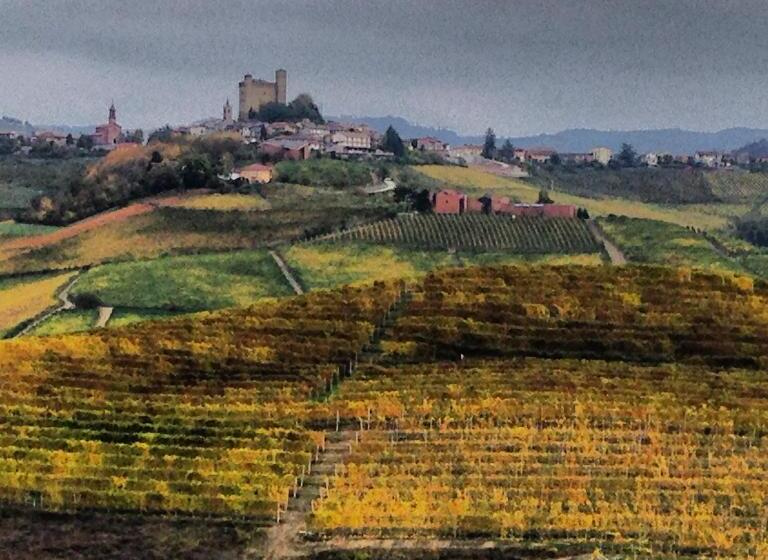 فندق Cascina Maina