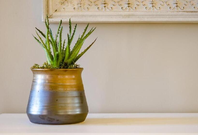 בית מלון כפרי House 222 Gowrie Farm