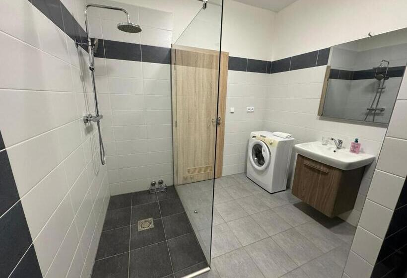 فندق Wellness & Spa Apartments Lipno   Frymburk