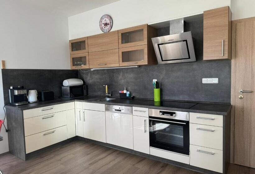 فندق Wellness & Spa Apartments Lipno   Frymburk