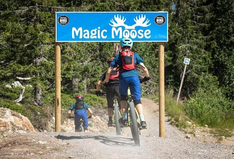 Koselig Hytte Ved Skiheis, Langrennspor, Akebakke Og Har 4 Soverom, 2 Bad, Badstue Og Fiber Bredbånd