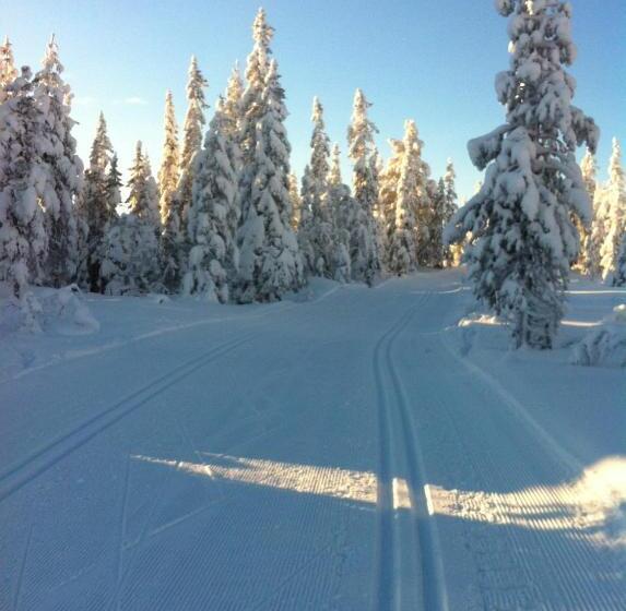 Koselig Hytte Ved Skiheis, Langrennspor, Akebakke Og Har 4 Soverom, 2 Bad, Badstue Og Fiber Bredbånd