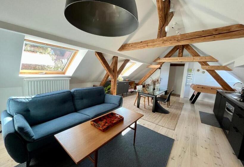 Le Passage Des Cinq   5 Min Du Tram 15 Min Strasbourg Centre