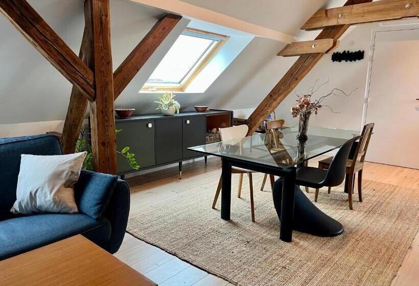 Le Passage Des Cinq   5 Min Du Tram 15 Min Strasbourg Centre