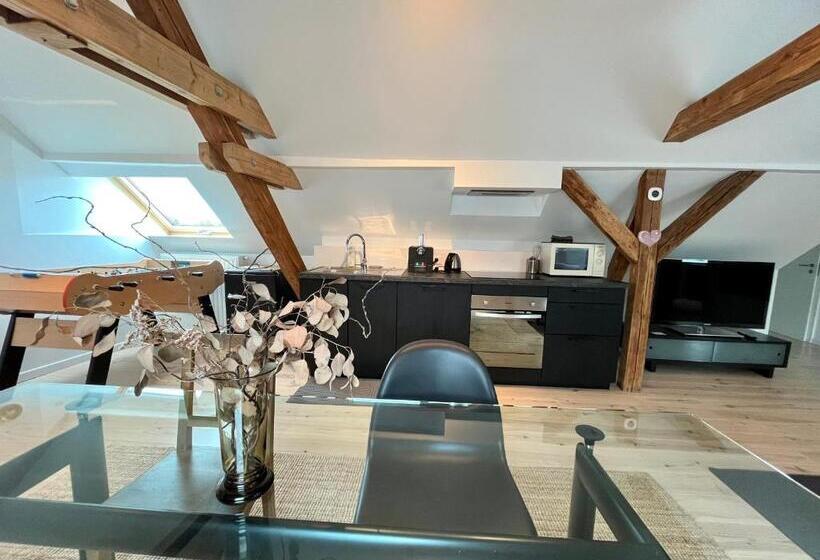 Le Passage Des Cinq   5 Min Du Tram 15 Min Strasbourg Centre