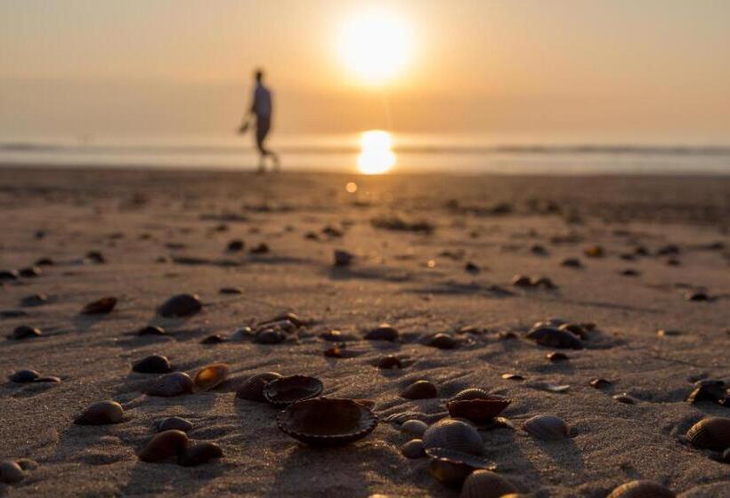 Luxe Vakantiewoning Domburg, Dichtbij Strand