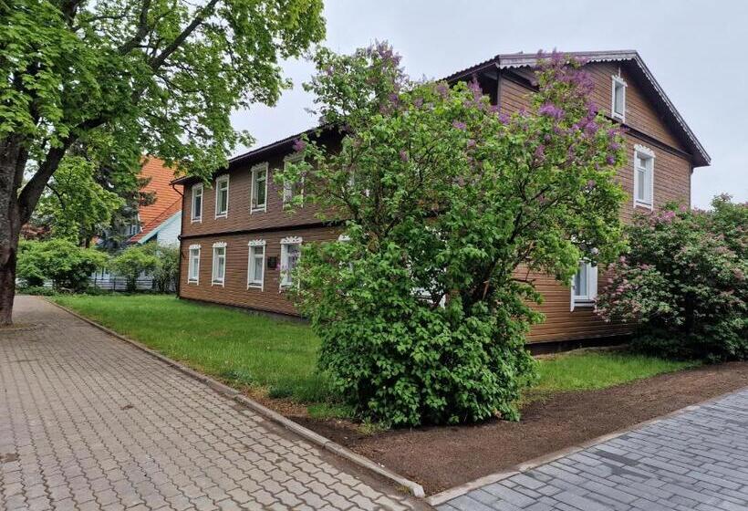 Modern Best Located One Bed Flat Max 3 Person Included Kids No Bicycle Space